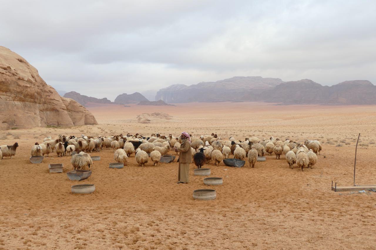 Wadi Rum Cave Camp &Jeep Tour エクステリア 写真